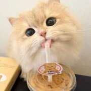 ヒメ日記 2025/08/29 18:03 投稿 澄玲(すみれ) グランドオペラ横浜