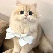 ヒメ日記 2025/08/30 16:02 投稿 澄玲(すみれ) グランドオペラ横浜