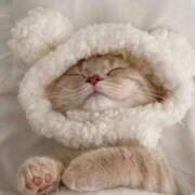 ヒメ日記 2025/08/31 02:11 投稿 澄玲(すみれ) グランドオペラ横浜