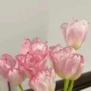 ヒメ日記 2025/09/16 19:21 投稿 澄玲(すみれ) グランドオペラ横浜