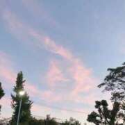 ヒメ日記 2025/10/17 08:18 投稿 音(おと) PLUS十三店