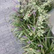 ヒメ日記 2025/10/20 08:18 投稿 音(おと) PLUS十三店