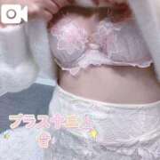 ヒメ日記 2025/11/06 07:48 投稿 音(おと) PLUS十三店