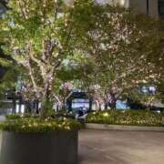 ヒメ日記 2025/11/12 07:38 投稿 音(おと) PLUS十三店