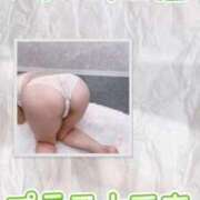 ヒメ日記 2026/02/04 12:15 投稿 音(おと) PLUS十三店