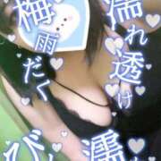 ヒメ日記 2025/08/31 10:33 投稿 ほのか 山口周南ちゃんこ