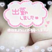 ヒメ日記 2025/09/02 12:21 投稿 ほのか 山口周南ちゃんこ