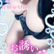 ヒメ日記 2025/09/04 15:09 投稿 ほのか 山口周南ちゃんこ