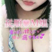 ヒメ日記 2026/02/11 23:01 投稿 ほのか 山口周南ちゃんこ