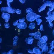 ヒメ日記 2026/03/05 12:48 投稿 あみ ぽっちゃり巨乳専門店 町田相模原ちゃんこ