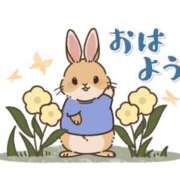 ヒメ日記 2025/08/31 10:04 投稿 春沢さくら 五十路マダム　広島店