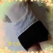 春沢さくら 昨日のM様へ 五十路マダム　広島店