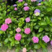 みう 会えるの楽しみにしてるよ💕︎💕︎ ゆるふわ彼女