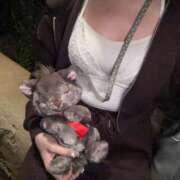 照れGALレンレン 予定❣️ にゃんだ☆full☆MIX（にゃんだふるみっくす）