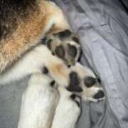 ヒメ日記 2026/01/30 19:22 投稿 照れGALレンレン にゃんだ☆full☆MIX（にゃんだふるみっくす）