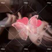 ヒメ日記 2025/09/17 03:02 投稿 黒崎 みゆ マゾ彼Labo