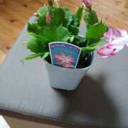 ヒメ日記 2025/10/01 14:09 投稿 なつき 鹿児島ちゃんこ霧島店