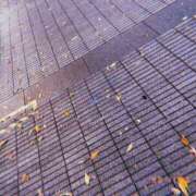 ヒメ日記 2025/11/17 13:42 投稿 篠原　つき YOKOHAMA FIVESTAR（横浜ファイブスター）