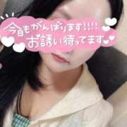 ヒメ日記 2025/08/27 14:11 投稿 乙坂(おとさか) 鶯谷デッドボール