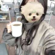 つきか カフェイン摂取 Profile～プロフィール～（那覇）