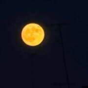 ヒメ日記 2025/09/08 23:18 投稿 みるるん 電マナイザー イラマチオン