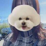 ヒメ日記 2025/09/30 11:35 投稿 みつき マダムバンク 富山本店