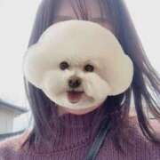 ヒメ日記 2025/10/02 13:04 投稿 みつき マダムバンク 富山本店