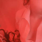 ヒメ日記 2026/02/13 18:54 投稿 あおい banana