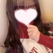 ヒメ日記 2025/12/19 01:20 投稿 りん みつばちマーヤZ