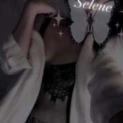 ヒメ日記 2025/09/02 17:30 投稿 セレネ アラカルト