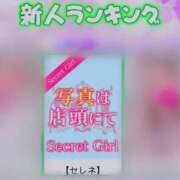 ヒメ日記 2025/09/07 12:01 投稿 セレネ アラカルト