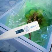 ヒメ日記 2025/10/27 12:17 投稿 セレネ アラカルト