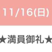 セレネ 🈵 コ 御 礼 アラカルト