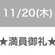 セレネ 🈵 コ 御 礼 アラカルト