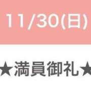 セレネ 🈵 コ 御 礼 アラカルト