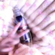 ヒメ日記 2026/02/19 17:00 投稿 セレネ アラカルト