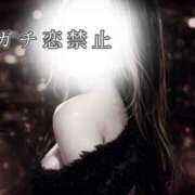 ヒメ日記 2026/03/27 18:31 投稿 セレネ アラカルト