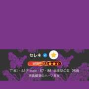 ヒメ日記 2026/08/10 16:01 投稿 セレネ アラカルト