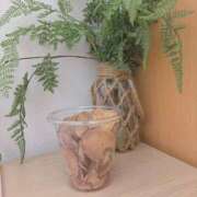 ヒメ日記 2025/10/30 21:45 投稿 すい ダイスキ