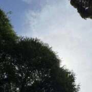 ヒメ日記 2025/08/31 21:48 投稿 なつ 桃李（とうり）