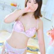 ヒメ日記 2025/09/02 00:27 投稿 なつ 桃李（とうり）