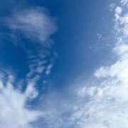 ヒメ日記 2025/09/11 09:54 投稿 なつ 桃李（とうり）