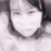 ヒメ日記 2025/11/26 18:13 投稿 なつ 桃李（とうり）