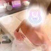 ヒメ日記 2026/05/12 19:13 投稿 椿/つばき ギャルズネットワーク大阪