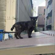 ヒメ日記 2025/10/09 17:12 投稿 まい 横浜パフパフチェリーパイ