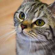 ヒメ日記 2026/01/28 11:59 投稿 ゆる カリビアン