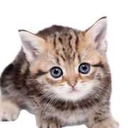 ヒメ日記 2026/01/30 13:59 投稿 ゆる カリビアン