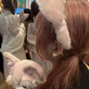 みる ※無題 みつばちマーヤZ