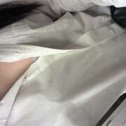 ヒメ日記 2025/09/24 18:04 投稿 しろ みつばちマーヤZ