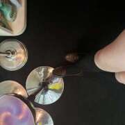 ヒメ日記 2025/10/06 17:51 投稿 しろ みつばちマーヤZ